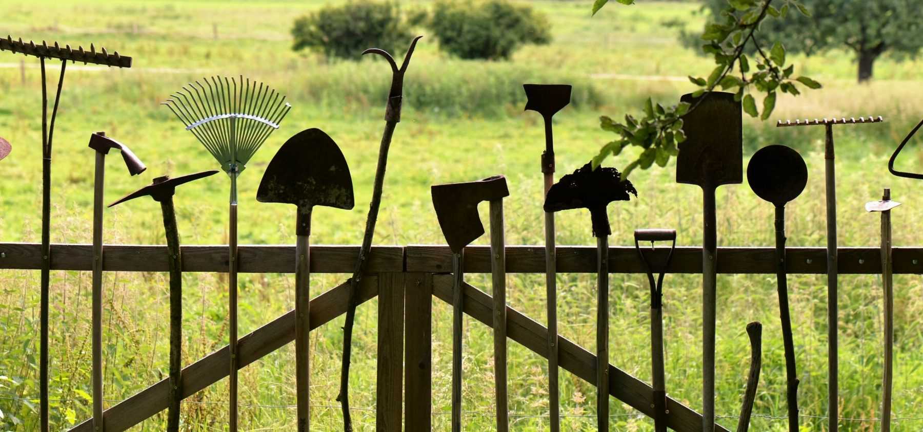Piantagione di piante perenni e arbusti