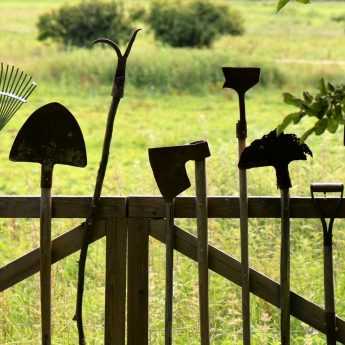 Piantagione di piante perenni e arbusti