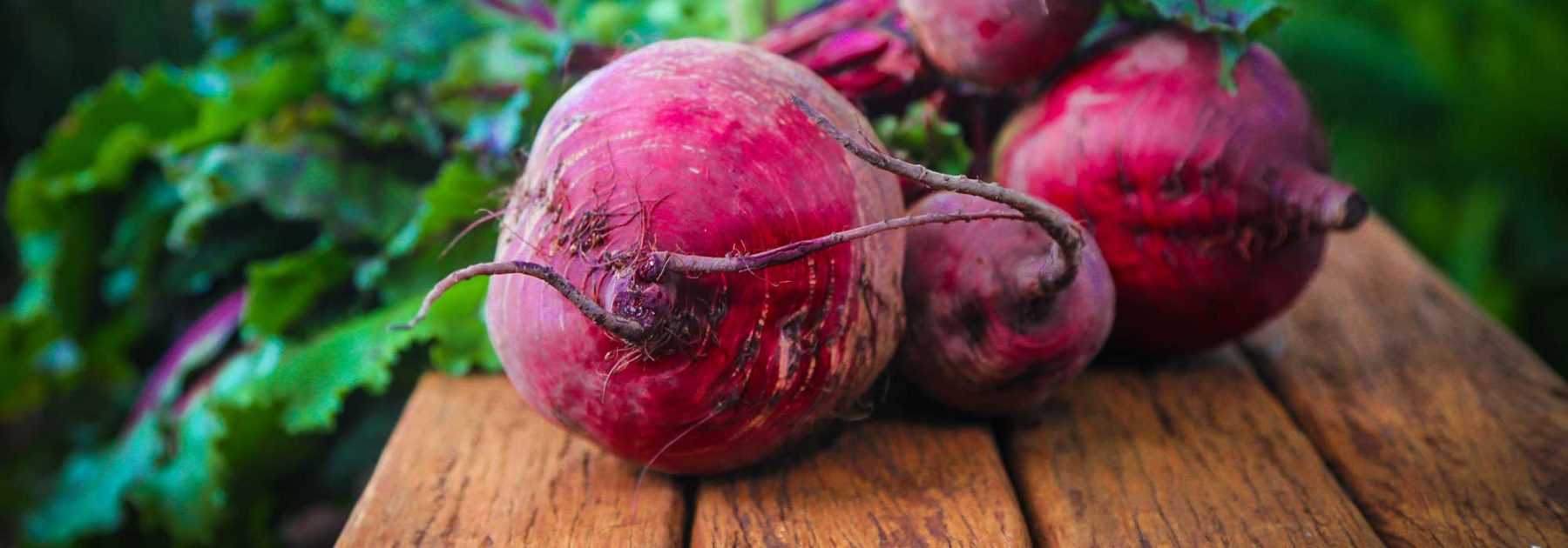 Barbabietola: semina, piantagione, coltivazione e raccolta