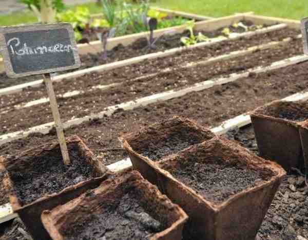 Fare le proprie semine in vasetti