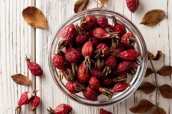 Come essiccare i propri cinorrodi?
