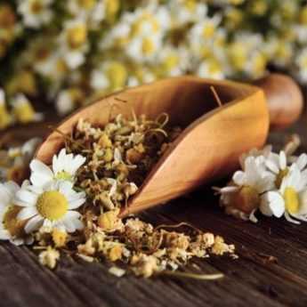 Come essiccare i fiori di camomilla?