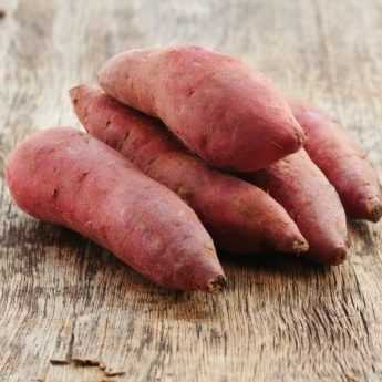 Piantare le minizolle di patate dolci