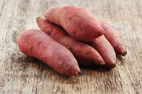 Piantare le minizolle di patate dolci