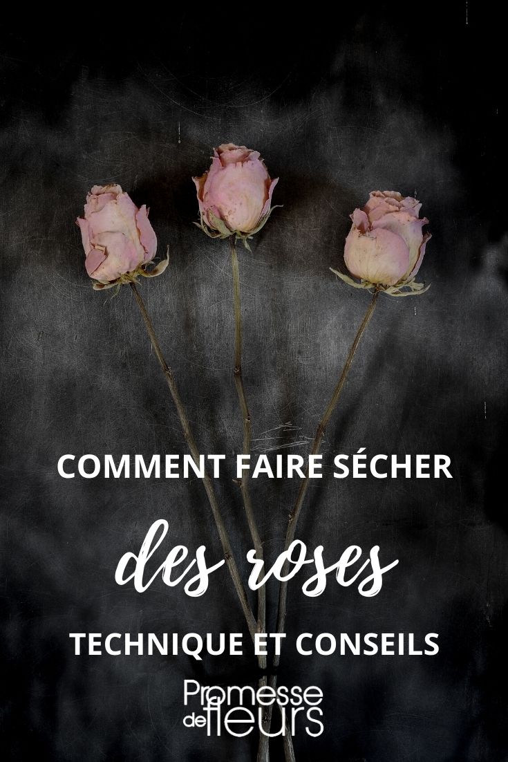 far essiccare le rose