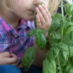 7 idee creative per avvicinare i bambini al giardinaggio anche senza giardino