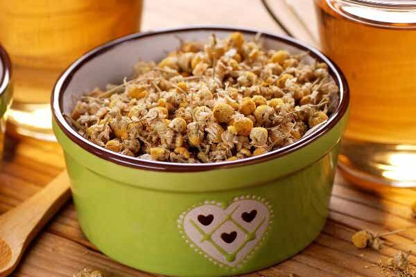 Come preparare infusi e macerati di camomilla per potenziare le tue coltivazioni?
