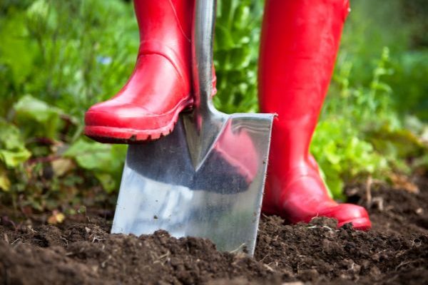 Giardinaggio per principianti: la vangatura, cos'è? Come si fa?