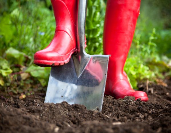 Giardinaggio per principianti: la vangatura, cos'è? Come si fa?
