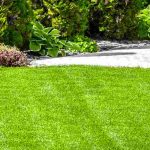 Come curare il prato in primavera?