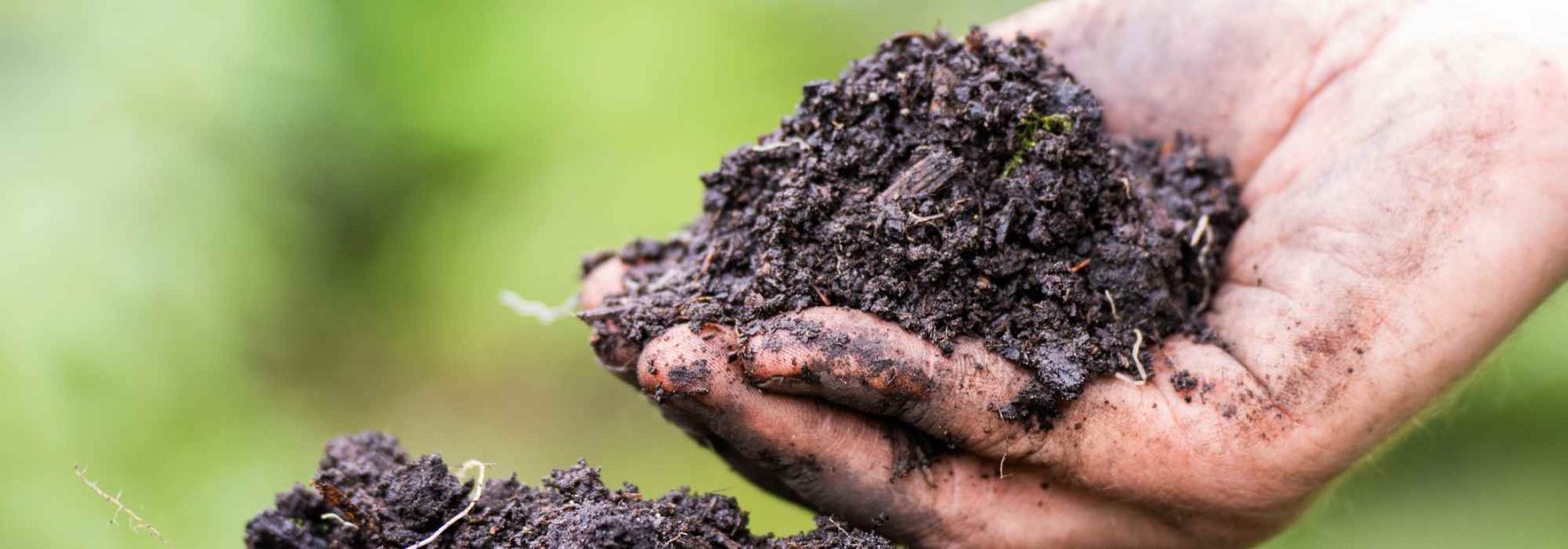 Come arricchire il terreno naturalmente grazie agli ammendanti organici?