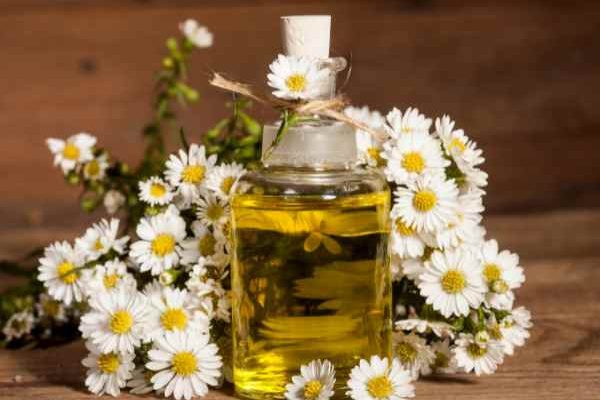 Come fare l'olio di camomilla: il nostro tutorial