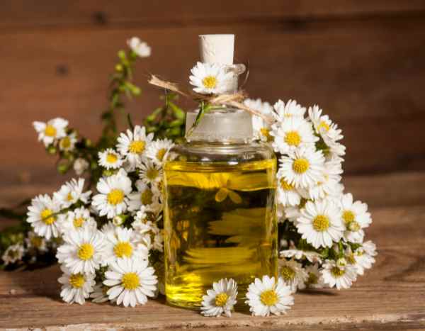 Come fare l'olio di camomilla: il nostro tutorial