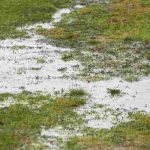Tutto quello che c'è da sapere sul drenaggio del terreno in giardino