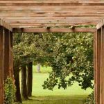 Il legno in giardino: idee e ispirazioni