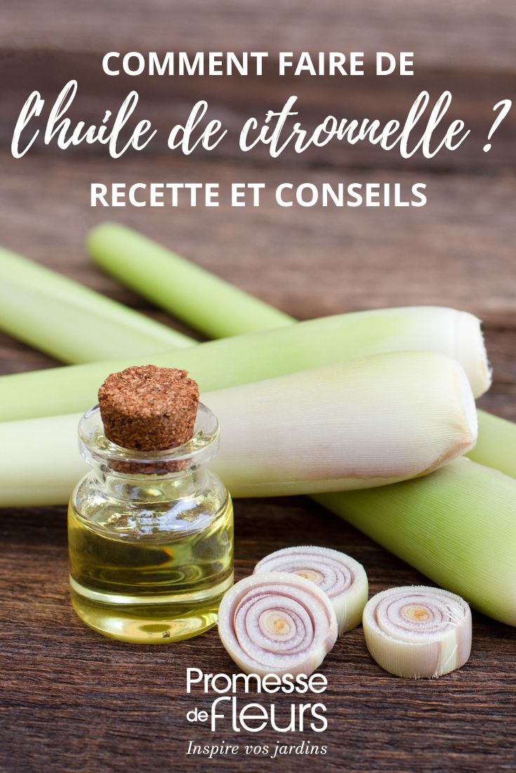 ricetta dell'olio di citronella