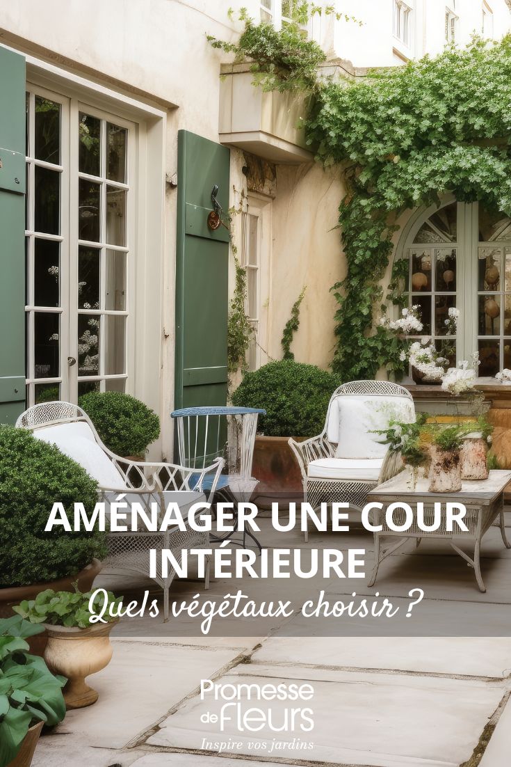 Quali piante scegliere per allestire un cortile interno? cosa piantare in un cortile?