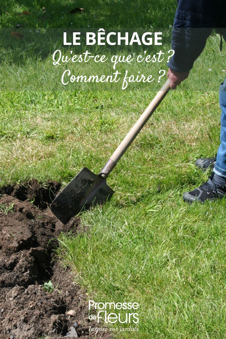zappare il giardino, come fare?