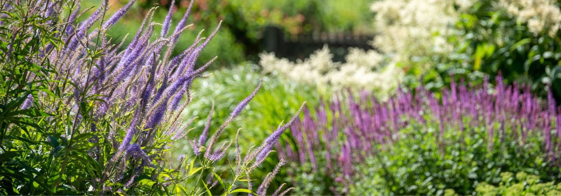 Tendenza giardinaggio 2025: l'estetica naturalistica ispira uno stile campestre e rilassato