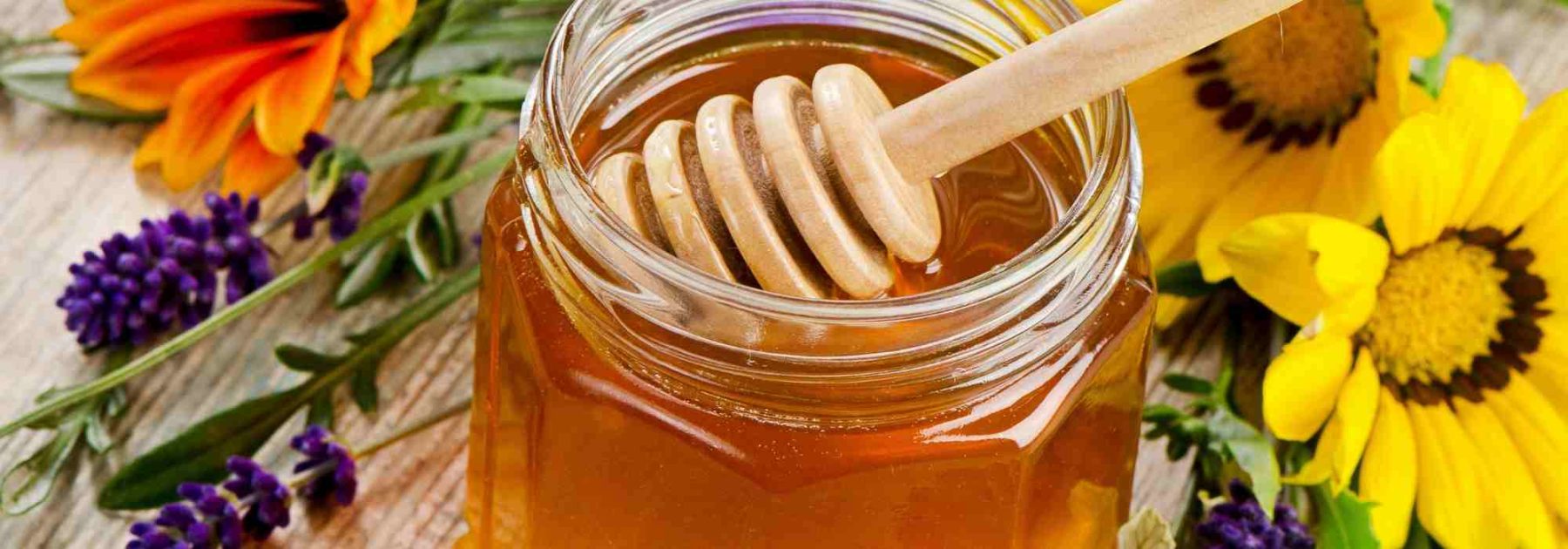 Il miele in giardino: un alleato naturale per le tue piante e la tua salute