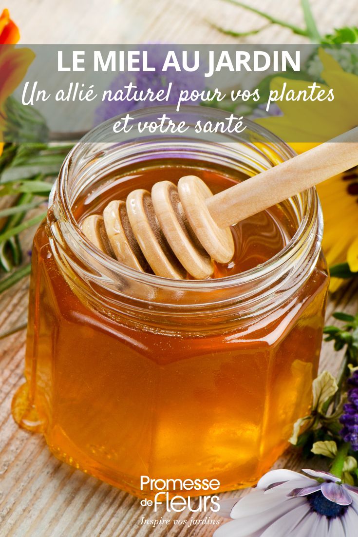 Il miele in giardino: un alleato naturale per le tue piante e la tua salute l'uso del miele in giardino