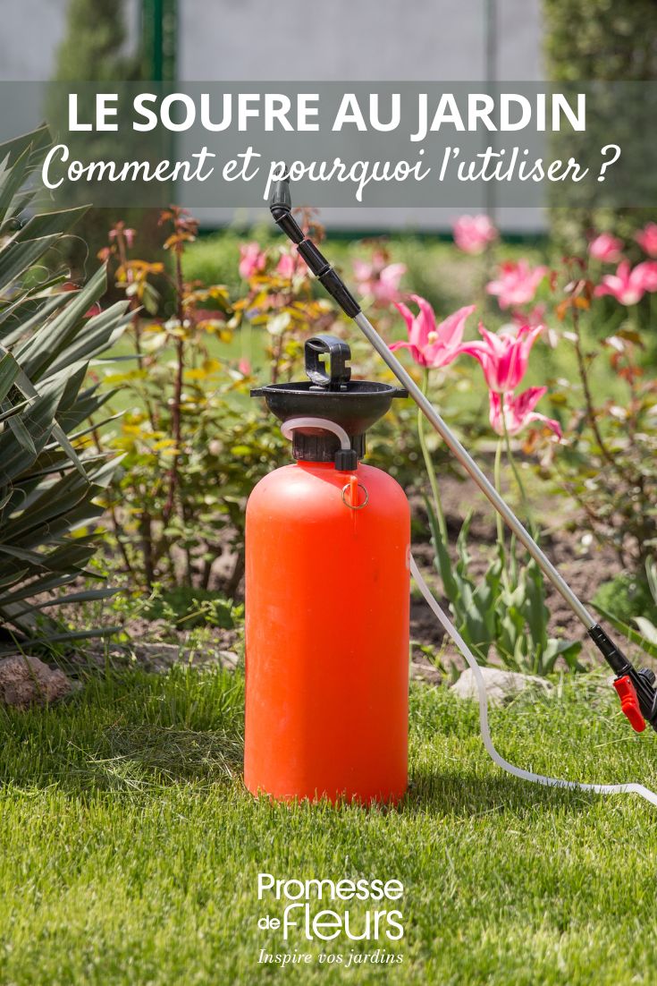 Lo zolfo in giardino: come e perché utilizzarlo utilizzo dello zolfo in giardino