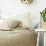 Le piante d'appartamento perfette per una camera da letto: la nostra guida pratica