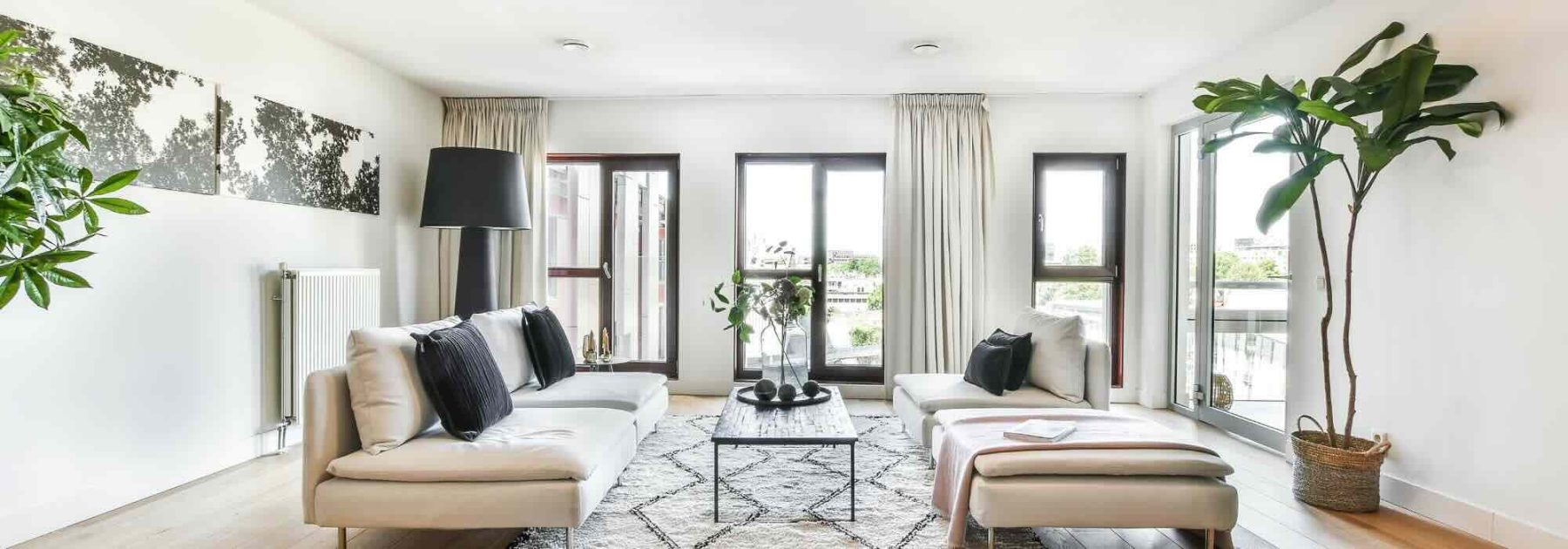 Le migliori piante da interno per abbellire un salotto
