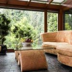 Le piante d'appartamento ideali per una veranda