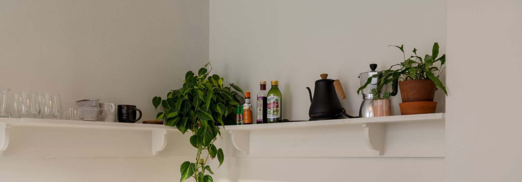 Piante da interno per la cucina: le nostre varietà ideali e i nostri consigli per decorare questo spazio