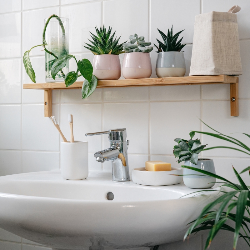 Piante per il bagno