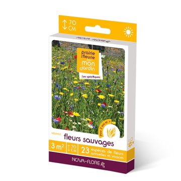 Mix di semi Fiori selvatici