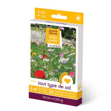 Mix di semi Ogni tipo di terreno