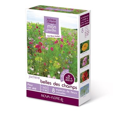 Prato incolto Fiori di campo