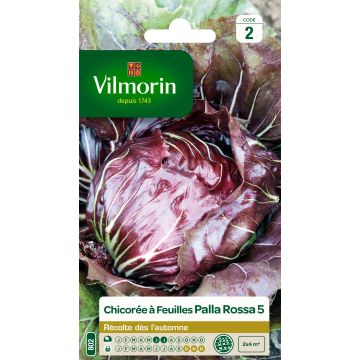 Cicoria Palla Rossa - Vilmorin