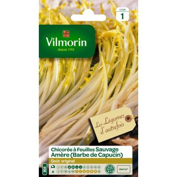 Cicoria à larges feuilles Amère type Barbe de Capucin