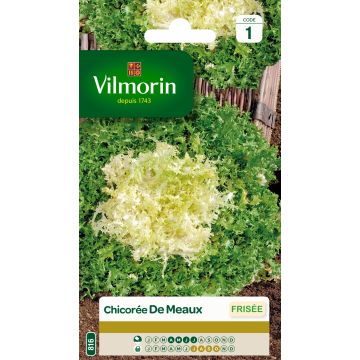 Indivia riccia de Meaux - Vilmorin