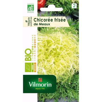 Indivia riccia de Meaux Bio - Vilmorin