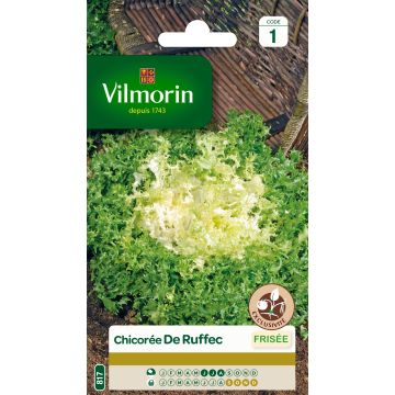 Indivia riccia de Ruffec - Vilmorin
