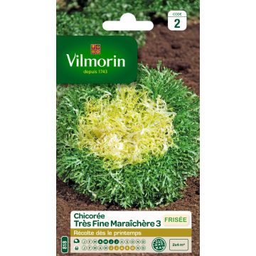 Indivia riccia Molto fina degli ortoloni 3