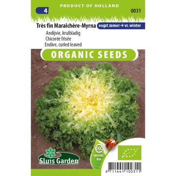 Indivia riccia Myrna Bio