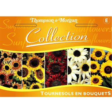 Girasole Mix