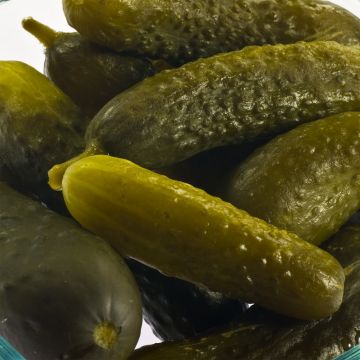 Cetriolino per sottaceto Delikatess