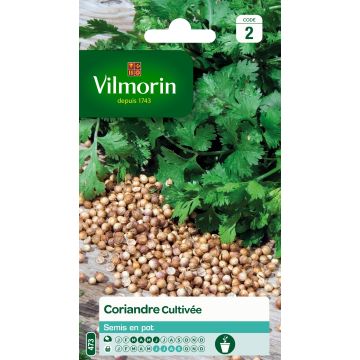 Coriandolo - Vilmorin