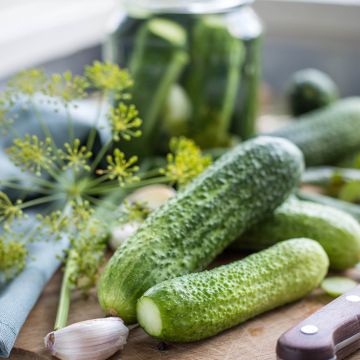 Cetriolino per sottaceto Verde Petit de Paris