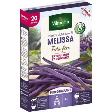 Fagiolo rampicante Melissa