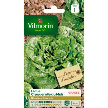 Lattuga croccante Craquerelle du Midi - Vilmorin