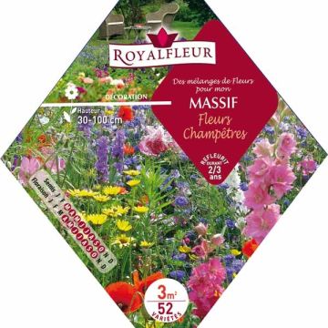 Mischia per aiuola Fiori di Campagna - Bustina 3 m2