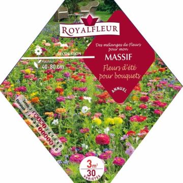 Mischia per aiuola Fiori da bouquet - Bustina 3 m2