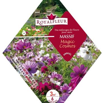 Mix per aiuola Magic Cosmos - Bustina 3m2